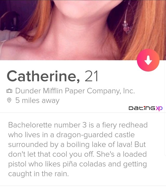 hilarious tinder bio