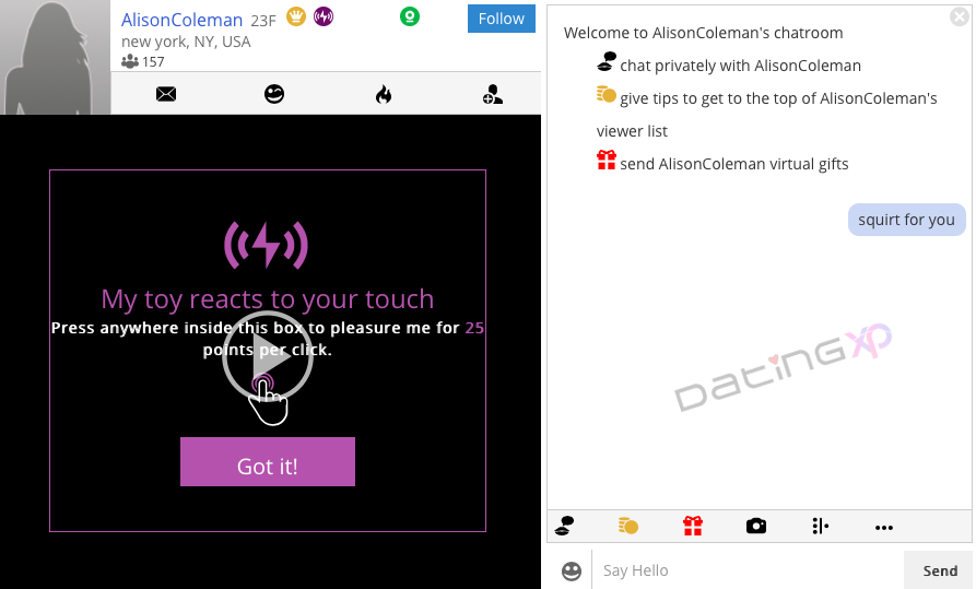 live webcams